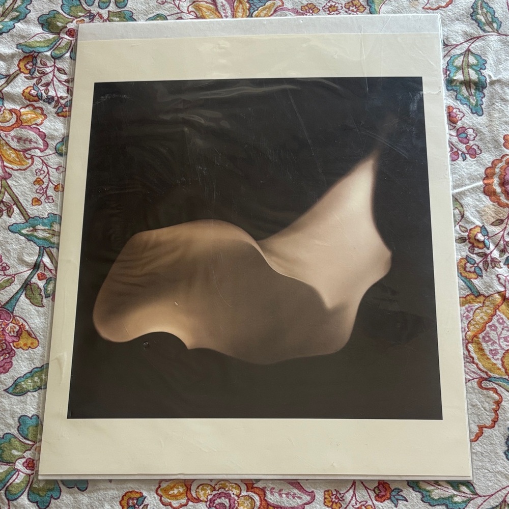 Abstract Floral Black and White Art Print Melissa Springer